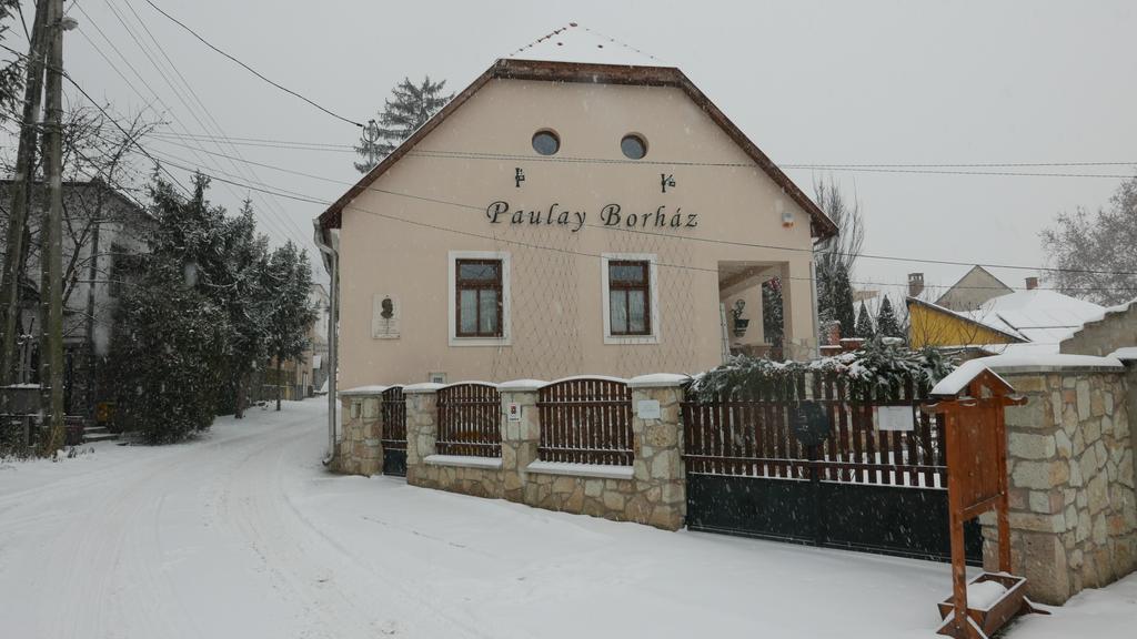 Отель Paulay Borhaz Es Vendeghaz Токай Экстерьер фото