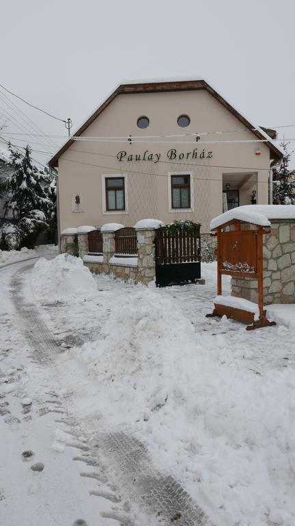 Отель Paulay Borhaz Es Vendeghaz Токай Экстерьер фото